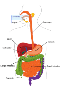 how to remove gallbladder stones without operation